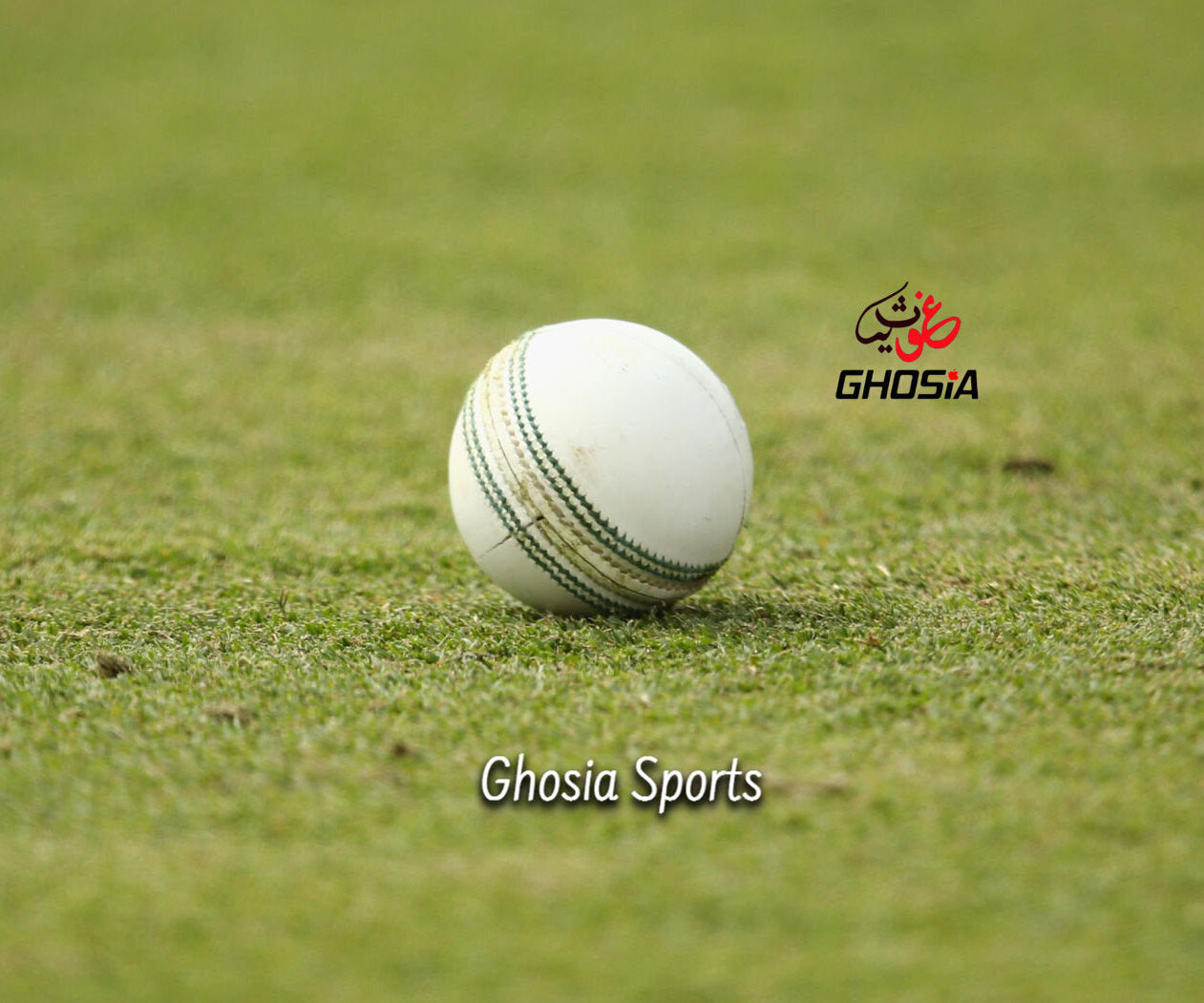Cricket Practice Hard Ball-Hand Stitched Hard Ball, Practice Ball For Cricket Players White Color - Ghosia Mall's