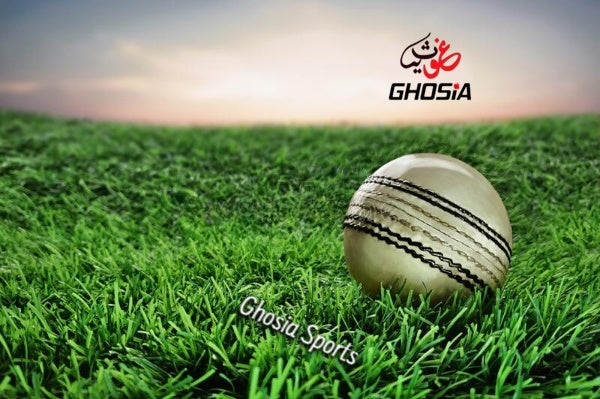 Cricket Practice Hard Ball-Hand Stitched Hard Ball, Practice Ball For Cricket Players White Color - Ghosia Mall's